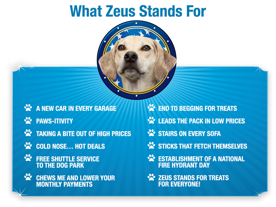 What Does Zeus Stand For?