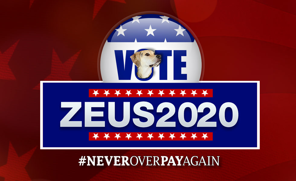 Vote Zeus 2020 | Never Over Pay Again